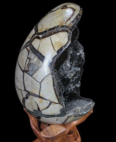 Septarian Dragon Egg Geode - Black Crystals #88161